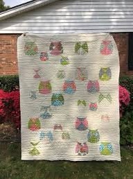 Sew Kind of Wonderful Mod Owls Quilt Pattern Finished Size 62”x75”