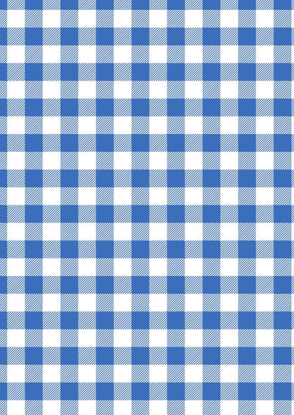 Lewis & Irene Americana Fabric Collection Blue Plaid Premium 100% Cotton Quilt Shop Quality Fabrics