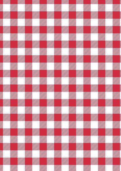 Lewis & Irene Americana Fabric Collection Red Plaid Premium 100% Cotton Quilt Shop Quality Fabrics