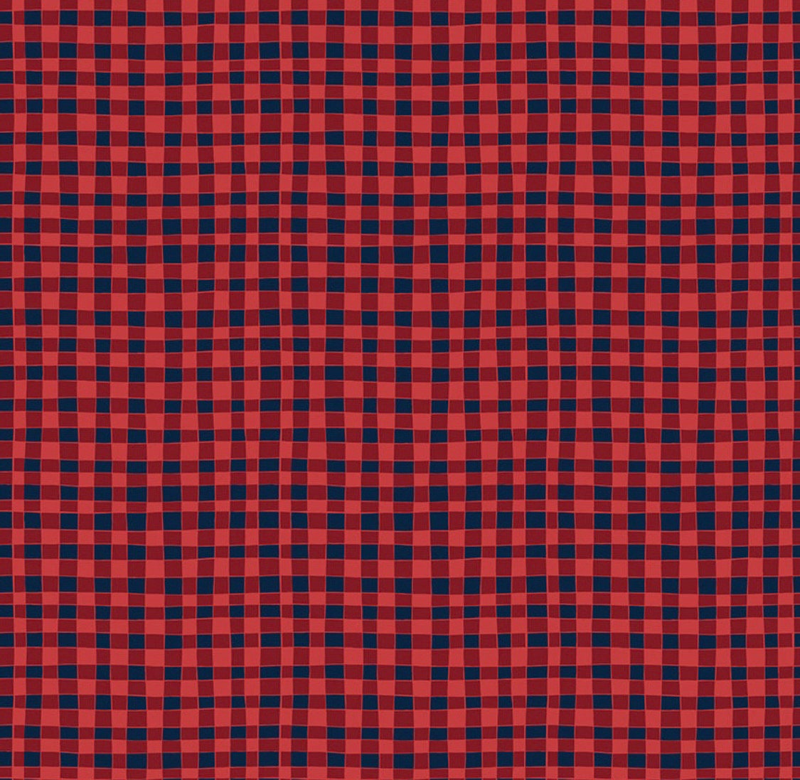 Riley Blake Love You S'more Fabric Collection Gingham on Red Premium 100% Cotton Quilt Shop Quality Fabrics