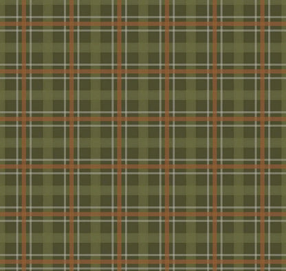 Riley Blake Cretaceous Fabric Collection Cretaceous Plaid on Hunter Premium 100% Cotton