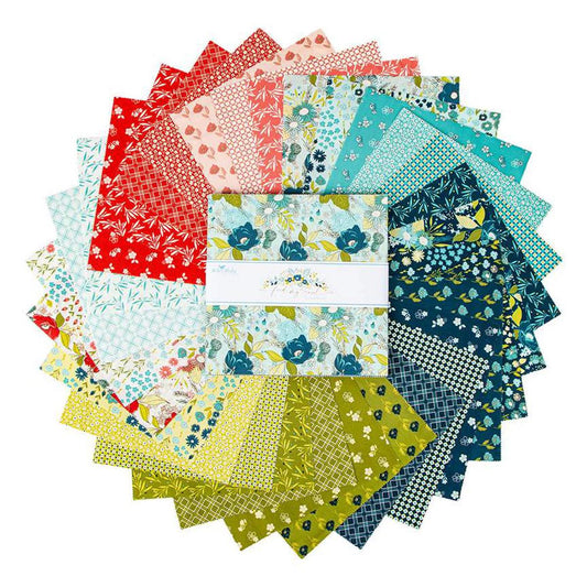 Riley Blake Sandy Gervais Feed My Soul Fabric Collection 5" Stacker (42 Pieces Per Bundle)